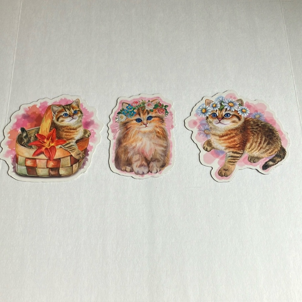 Cat fridge magnets